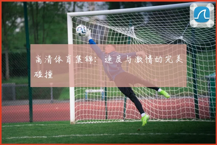 高清体育集锦：速度与激情的完美碰撞
